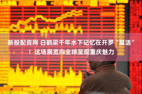 新股配资网 白鹤梁千年水下记忆在开罗“复活”！这场展览向全球呈现重庆魅力